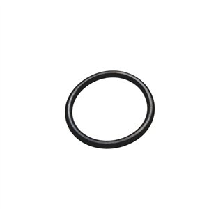 Segway O-RING SEAL 25×2.65 - Partnr: Q01R41100001