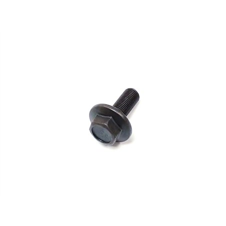 Segway BOLT M12X1.25X30-LH - Partnr: F02B11003001