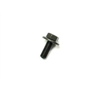 Segway BOLT M12X1.25X30-LH - Partnr: F02B11003001