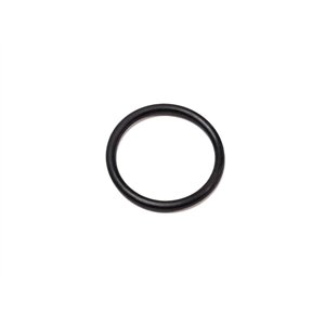 Segway O-RING 26 × 2.7 - Partnr: Q02-F101001-000-00