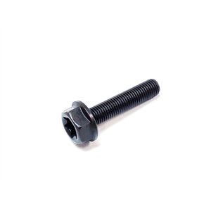 Segway Bolt  M10×1.25×45 - Partnr: E02E30003001