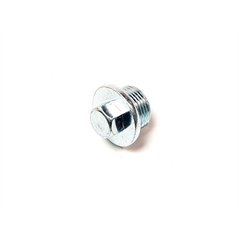 Segway PLUG M20×1.5×12 - Partnr: Q02-R401004-000-00