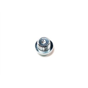 Segway PLUG M20×1.5×12 - Partnr: Q02-R401004-000-00