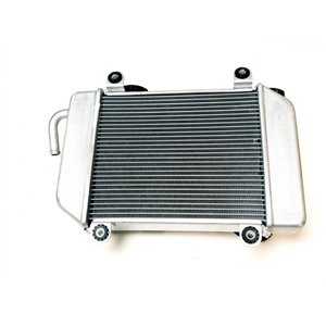 Segway FUEL OIL AUXILIARY RADIATOR - Partnr: S03A401B0001