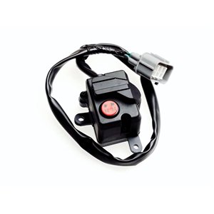 Segway 2/4 SWITCH - Partnr: U01M55000002