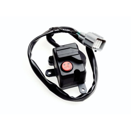 Segway 2/4 SWITCH - Partnr: U01M55000002