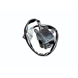 Segway 2/4 SWITCH - Partnr: U01M55000002