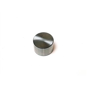 Segway VALVE TAPPET(484) - Partnr: F01A20007003