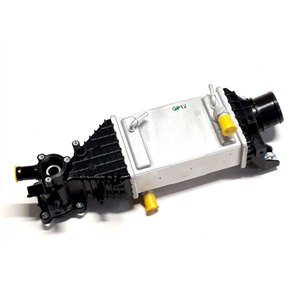 Segway COOLER - Partnr: S10-A119125-000-00