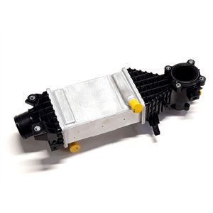 Segway COOLER - Partnr: S10-A119125-000-00