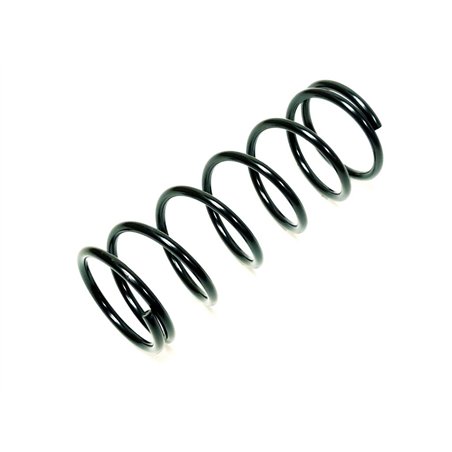 Segway SPRING (1200-1481N) - Partnr: E02-E203001-000-00