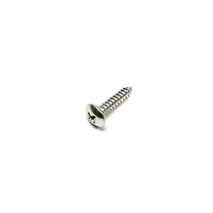 Segway SCREW ST 4.2×13 - Partnr: QCT000602011