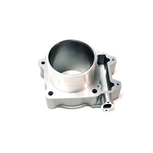 Segway FRONT RIGHT DOOR FRAME - Partnr: U03-C521100-FB0-00