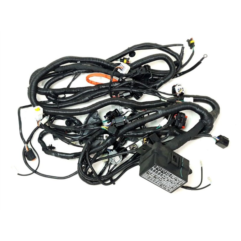 Segway MAIN CABLE ASSY FOR LOF - Partnr: U09M11200001