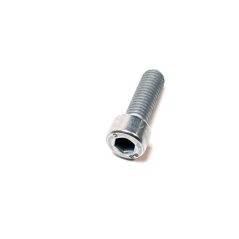 Segway SCREWS M8×25 - Partnr: GBT000701016
