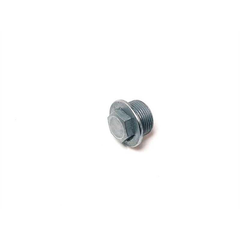 Segway SCREW PLUG M24 - Partnr: F02C10005001