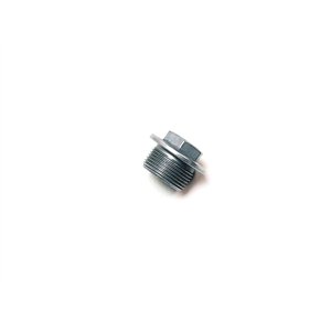 Segway SCREW PLUG M24 - Partnr: F02C10005001