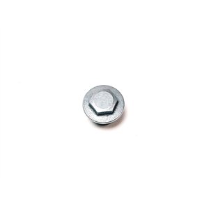 Segway SCREW PLUG M24 - Partnr: F02C10005001
