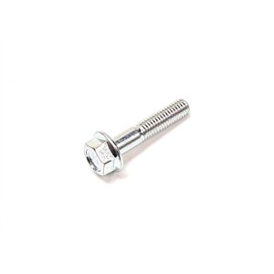 Segway HEXAGON FLANGE BOLT M6×30 - Partnr: GBT005789065