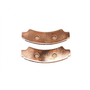 Segway FRONT BRAKE PAD ASSY - Partnr: S03E15A20001 R/B S03E15A20002