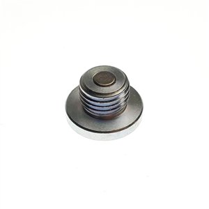 Segway SCREW PLUG M14 - Partnr: F02C10008001