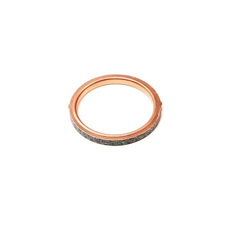 Segway EXHAUST PIPE GASKET 47×57×5 - Partnr: F02A22003001