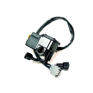 Segway RIGHT HANDLE SWITCH(WITH DIFF) - Partnr: A10-M511000-000-02