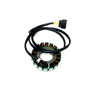 Segway MAGNETO STATOR,680W - Partnr: E02C31100001