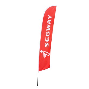 Segway beachflag 5.5meter 