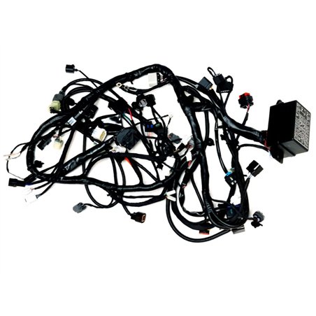 Segway MAIN CABLE(SHORT) - Partnr: A01M11100005