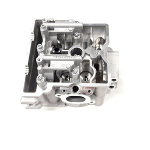 Segway CYLINDER HEAD-CAMSHAFT CARRIER - Partnr: F01A20500001