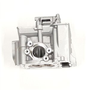 Segway CYLINDER HEAD-CAMSHAFT CARRIER - Partnr: F01A20500001