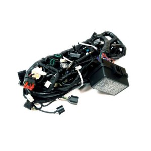Segway MAIN CABLE (LONG VEHICLE, BURSHED) - Partnr: A02M11100006