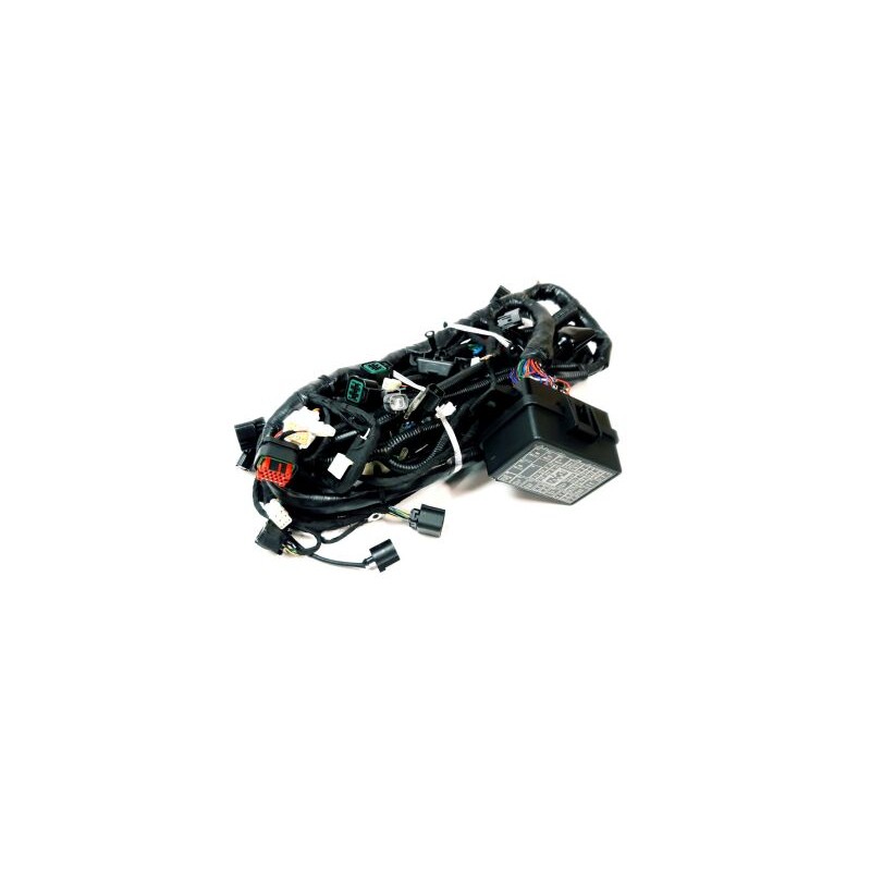 Segway MAIN CABLE (LONG VEHICLE, BURSHED) - Partnr: A02M11100006 Segway MAIN CABLE (LONG VEHICLE, BURSHED) - Partnr: A02M11100006