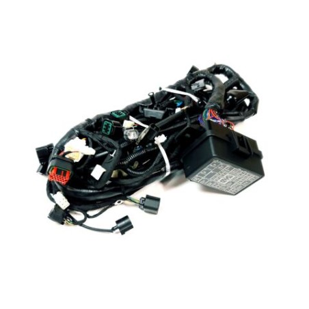 Segway MAIN CABLE (LONG VEHICLE, BURSHED) - Partnr: A02M11100006