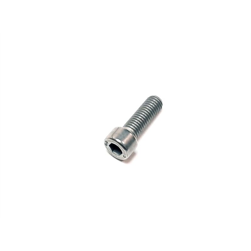 Segway SCREW M8×25 - Partnr: GBT000701019