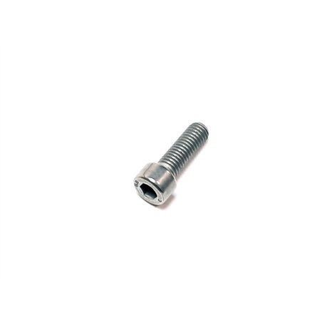 Segway SCREW M8×25 - Partnr: GBT000701019