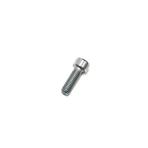 Segway SCREW M8×25 - Partnr: GBT000701019