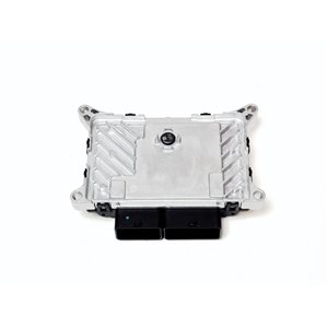 Segway ECU - Partnr: U01M41000001 R/B U09M41000001