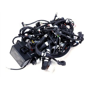 Segway MAIN CABLE - Partnr: A12-M111001-000-00