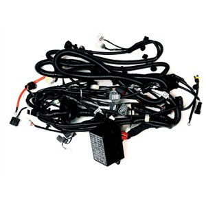 Segway MAIN HARNESS - Partnr: U09M11100001 R/B U09-M111000-000-00