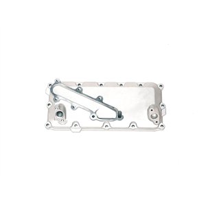 Segway UPPER CRANKCASE COVER(UTV) - Partnr: F02C40001003