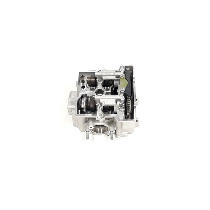 Segway OEM CYLINDER HEAD ASSEMBLY Part Nummer: F01A20000002 Segway OEM CYLINDER HEAD ASSEMBLY Part Nummer: F01A20000002