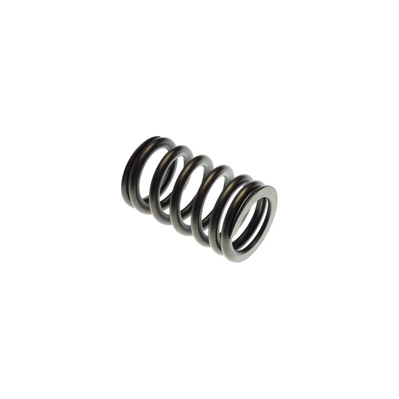 Segway VALVE SPRING - Partnr: F01A20001001 Segway VALVE SPRING - Partnr: F01A20001001