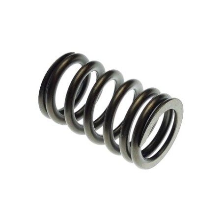 Segway VALVE SPRING - F01A20001001