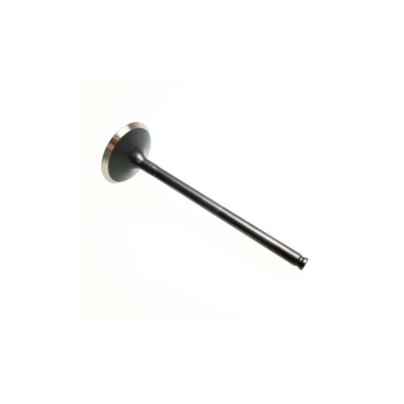 Segway INTAKE VALVE - Partnr: F01A20002001 Segway INTAKE VALVE - Partnr: F01A20002001