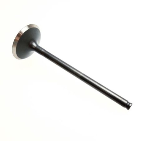 Segway Valve d'Échappement - F01A20003001