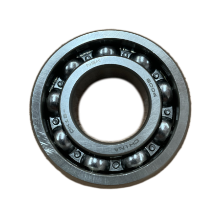 Segway OEM BEARING 6004 Part Nummer: GBT000276003