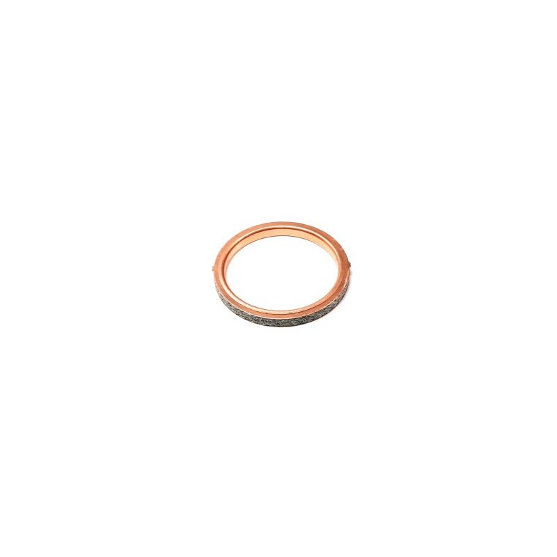 Segway EXHAUST PIPE GASKET 47×57×5 - Partnr: F02A22003001 Segway EXHAUST PIPE GASKET 47×57×5 - Partnr: F02A22003001