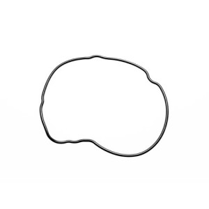 Segway WATER PUMP COVER SEALING RING - F02H00003001